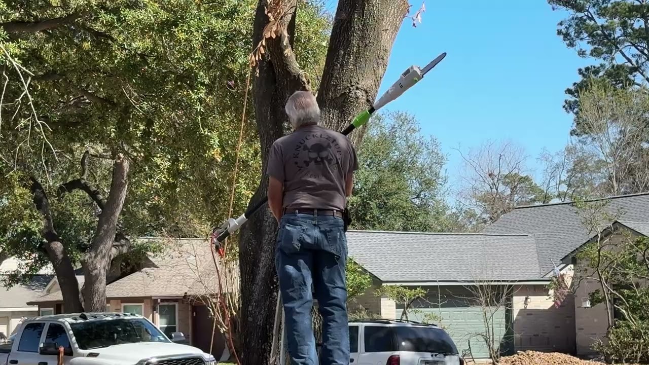 Papi trimming tree Pt 2
