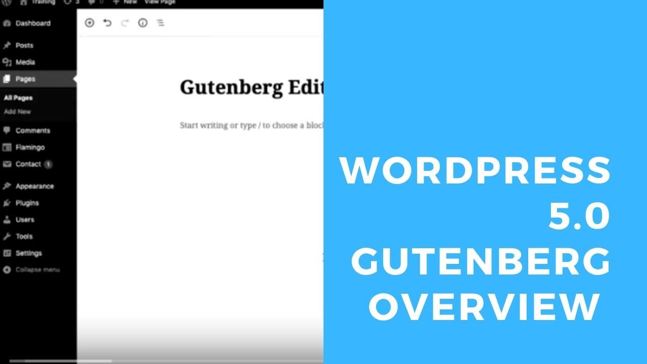 ipso Educated | Wordpress 5.0 Gutenberg Overview