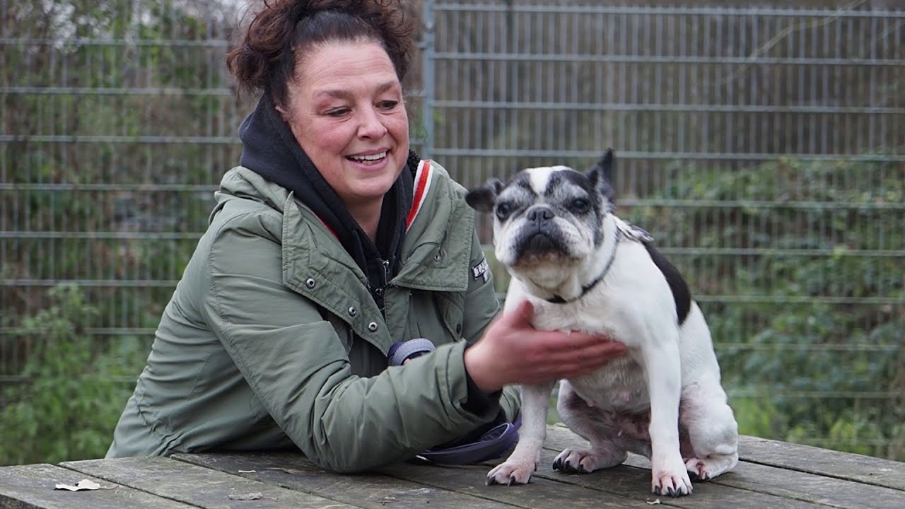 Hoffnungsleuchten aus dem Tierheim Uhlenkrog