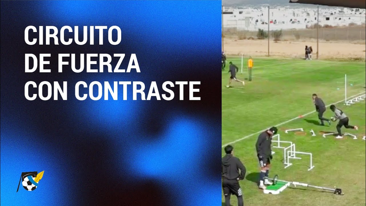 Circuito de fuerza con contraste