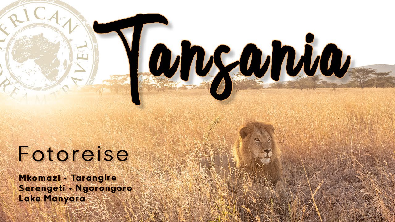 🇹🇿 Tansania: Fotosafari durch den Norden mit den Nationalparks Tarangire, Serengeti und Ngorongoro