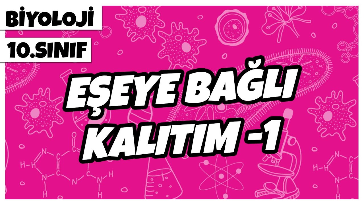 10. Sınıf Biyoloji - Eşeye Bağlı Kalıtım -1