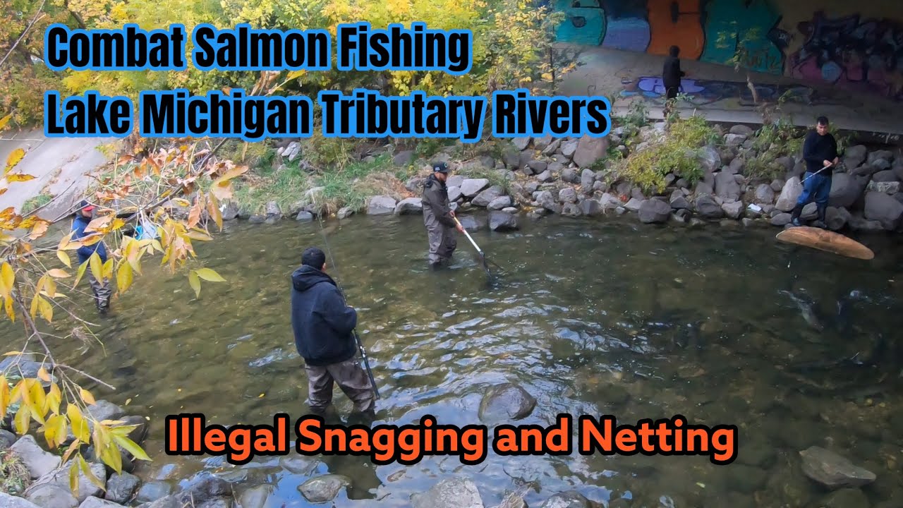Combat Salmon Fishing Lake Michigan Tributary Rivers | Illegal Snagging and Netting | DNR Contacted