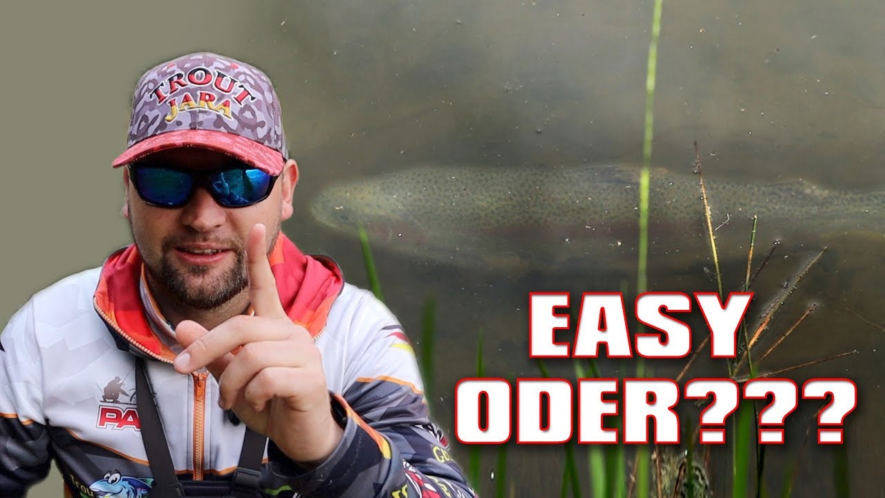 Forellenangeln in Losser | Alles Voll Fisch! Ist doch leicht oder ???