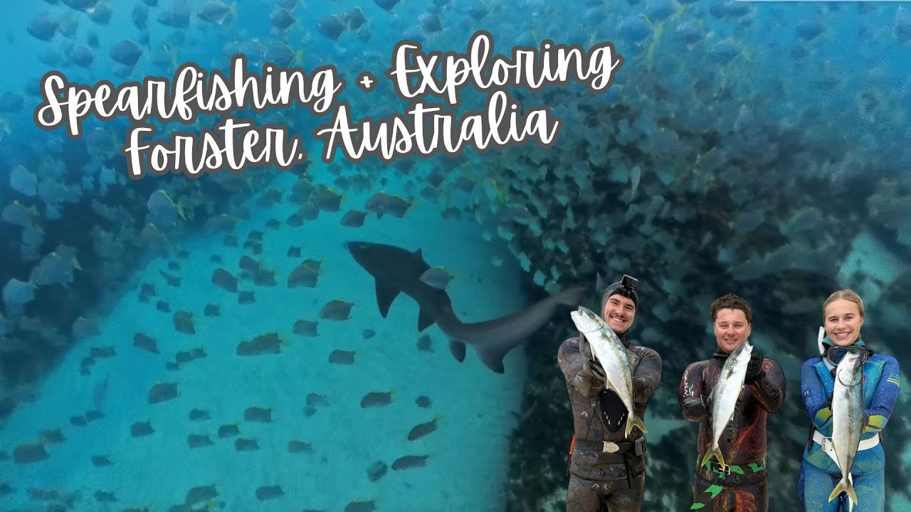 Spearfishing and Exploring in Forster, Australia | Sand Tiger Shark tries to steal our catch!
