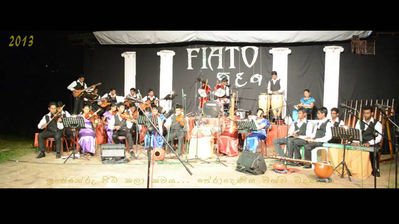 Robin Hood, SpellBinder, Oshin, Tin Tin - FIATO (2013 Annual)  _ 11/16