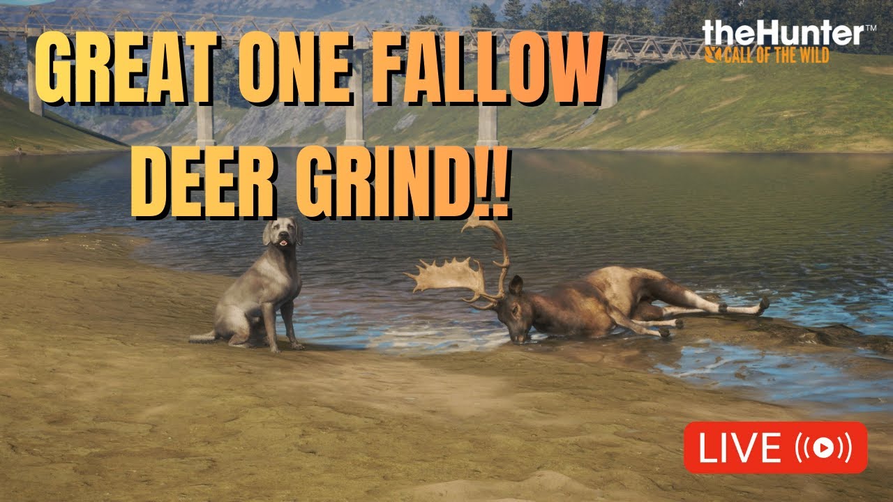 458 Kills Into The GREAT ONE Fallow Deer -  Hunter Call of The Wild