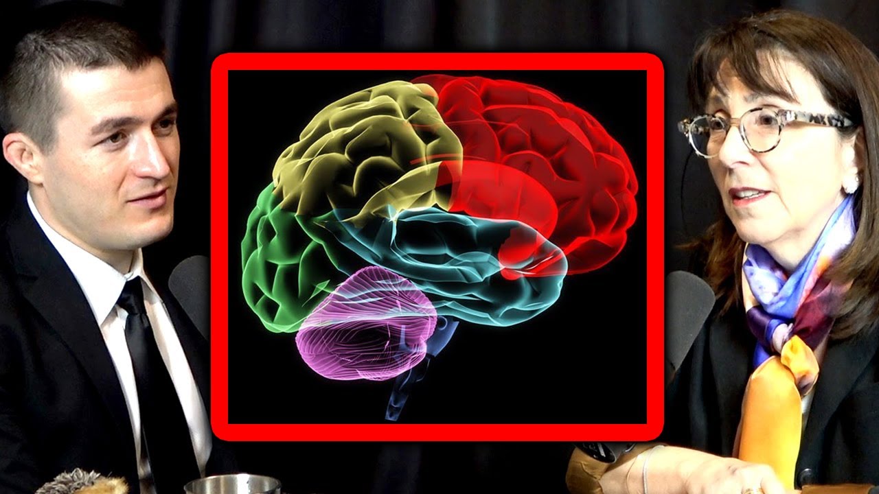 The three-layer view of the brain is a myth | Lisa Feldman Barrett and Lex Fridman