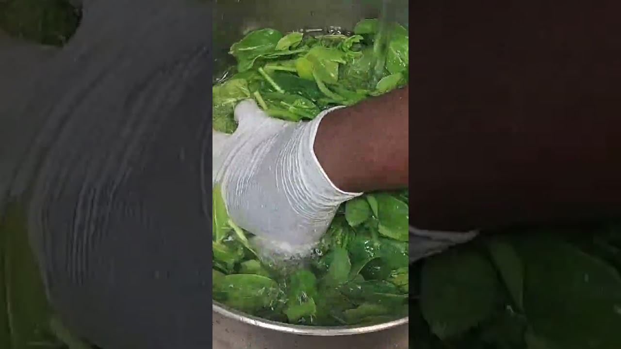 Wash the Spinach #shorts #foodbasetv
