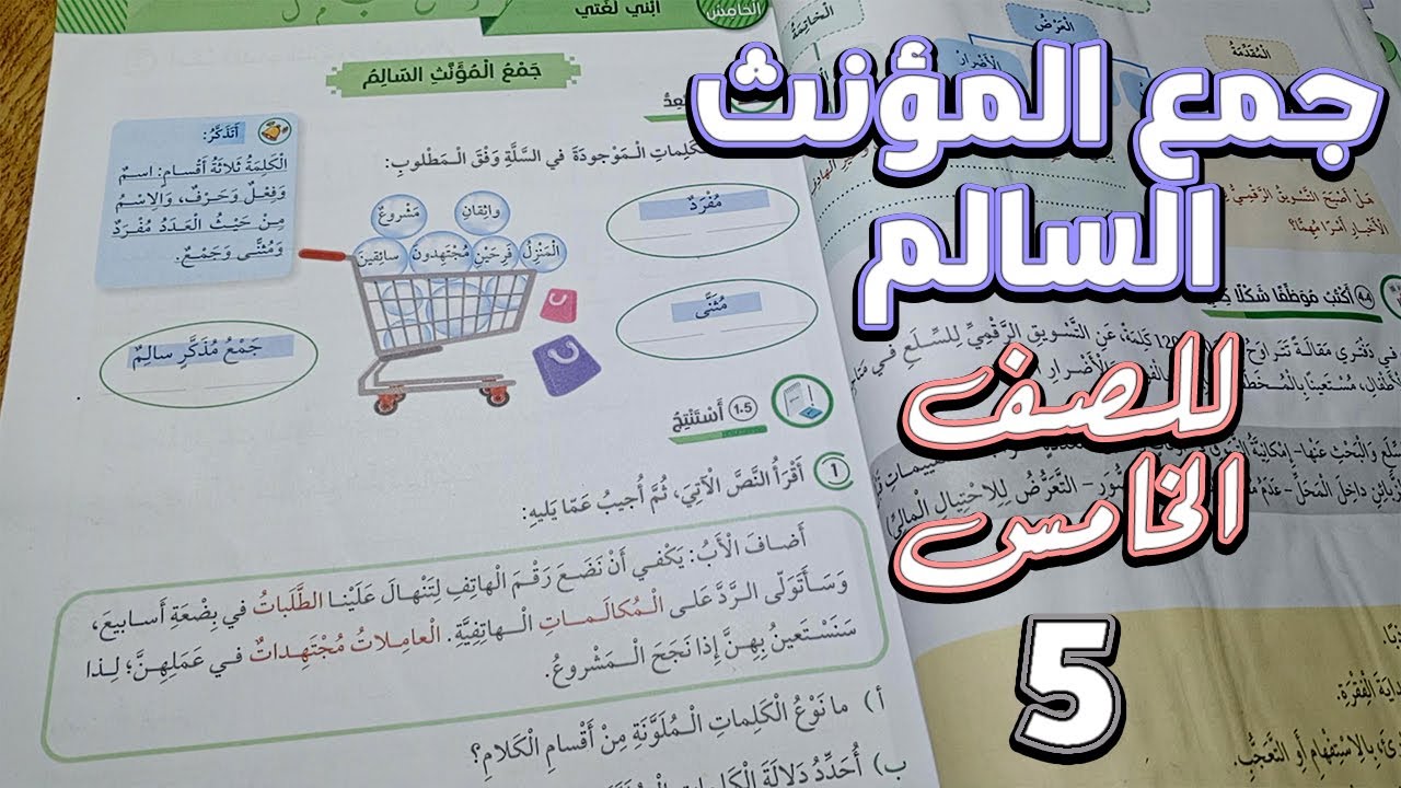 حل أسئلة درس جمع المؤنث السالم - للصف الخامس / الأستاذ إبراهيم حجاج