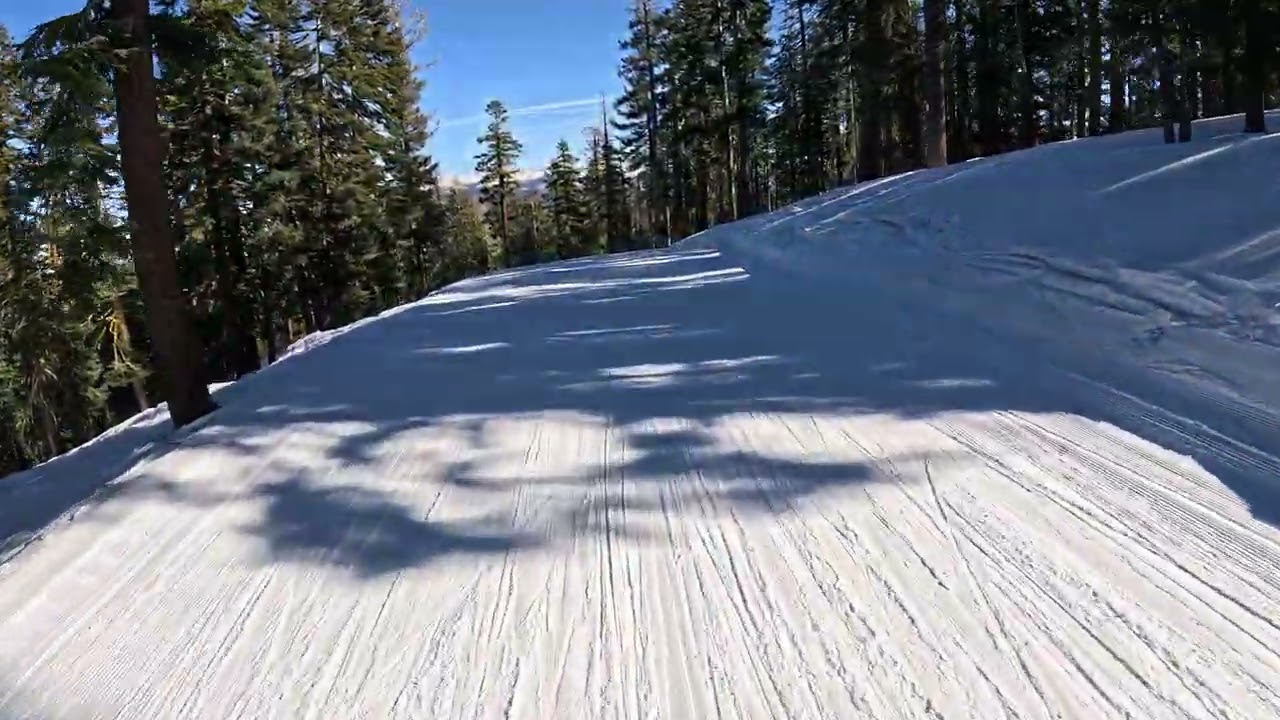 Comstock to The Woods