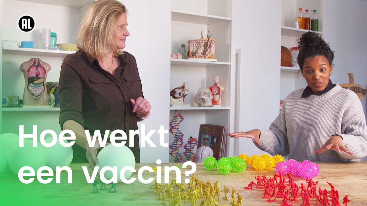 Hoe werkt een vaccin?