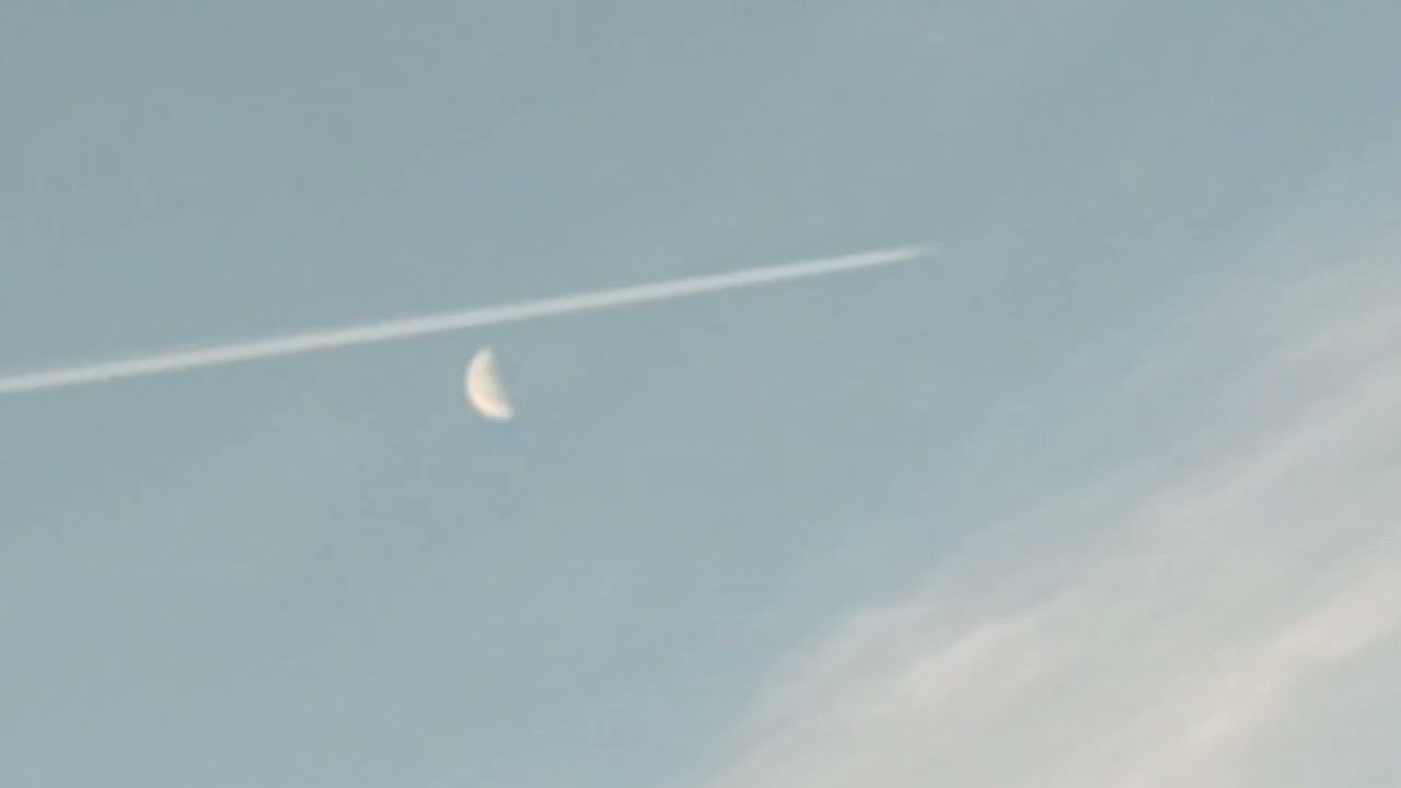 ❄🦅🧚✝️☦️2/10.26 新地球零下薄氷の元⚡長編録画３件☄️☄️✈️空間鳥擬態等 元動画まま編集🌫️ #今日の鳥達と周辺 #mimic #nature #god  #異次元 #空間擬態