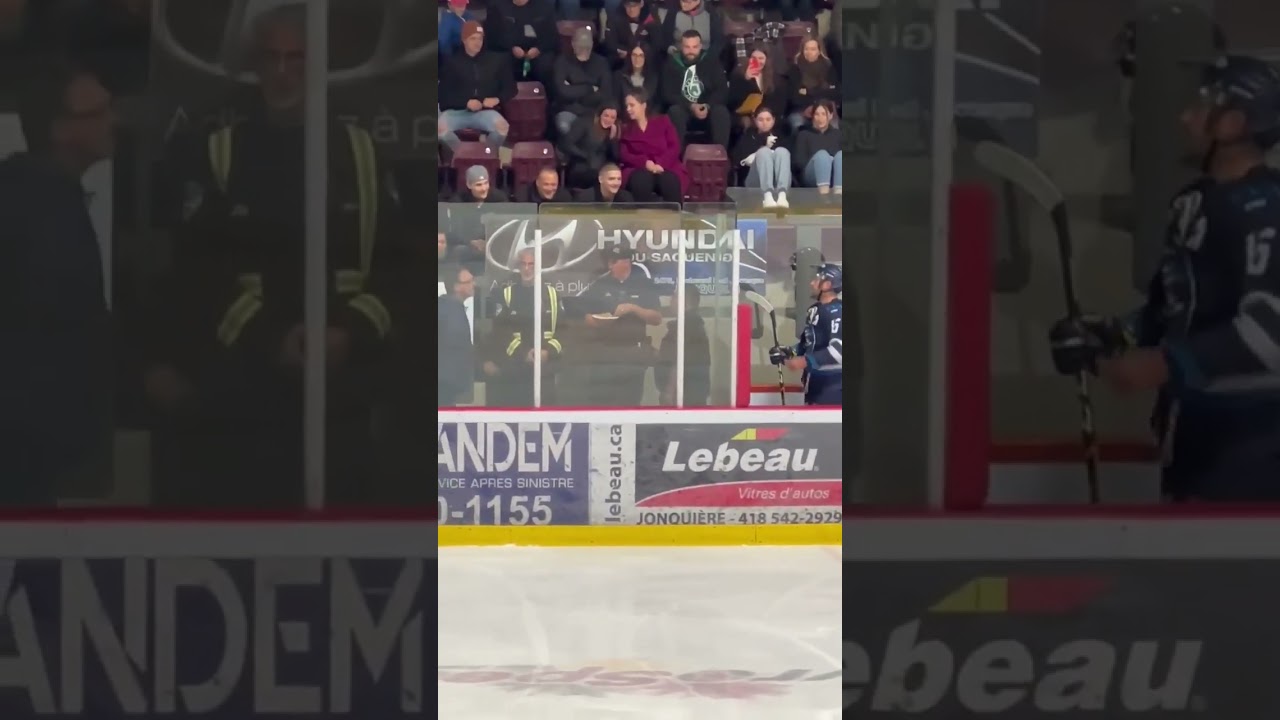 Mikedaud en action dans la LNAH .Victoire des Marquis 7-1 contre RDL