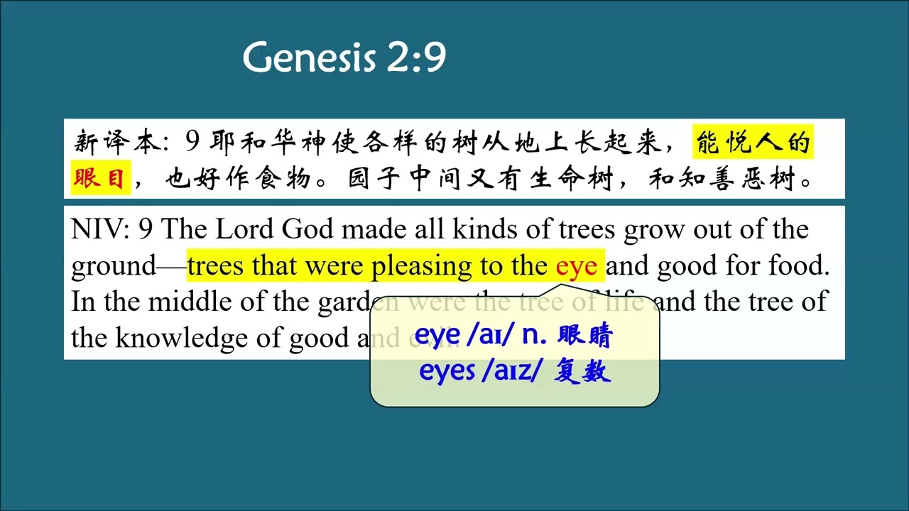 圣经英语 创世记 Genesis 2:9