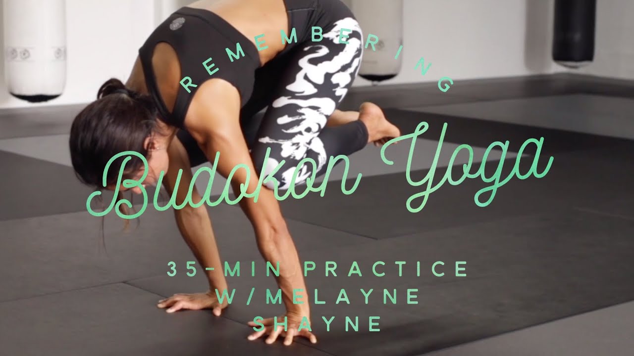 ANIMAL LOCOMOTION 35-Min Flow For BJJ - Budokon Yoga Primary Series (Section 1 & 6) w/Melayne Shayne