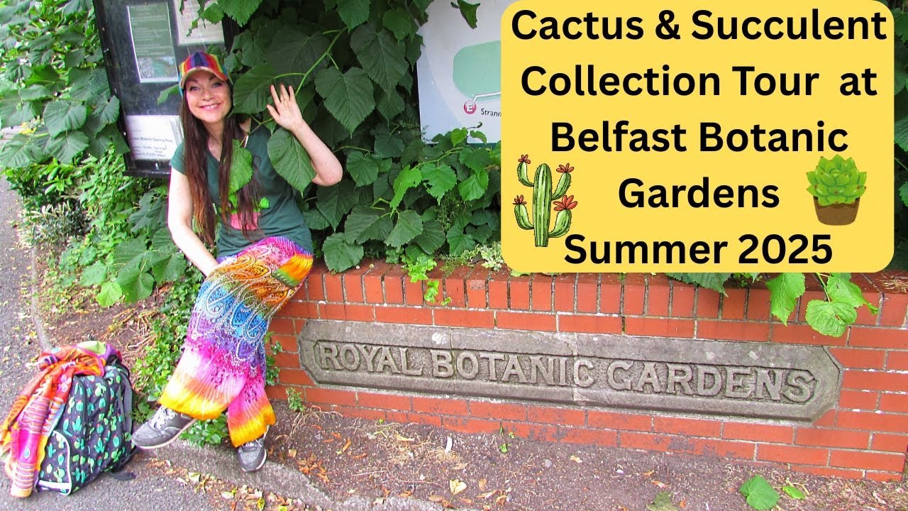 Cactus & Succulent Collection Tour at Belfast Botanic Gardens - Summer 2025 #cacti #cactus