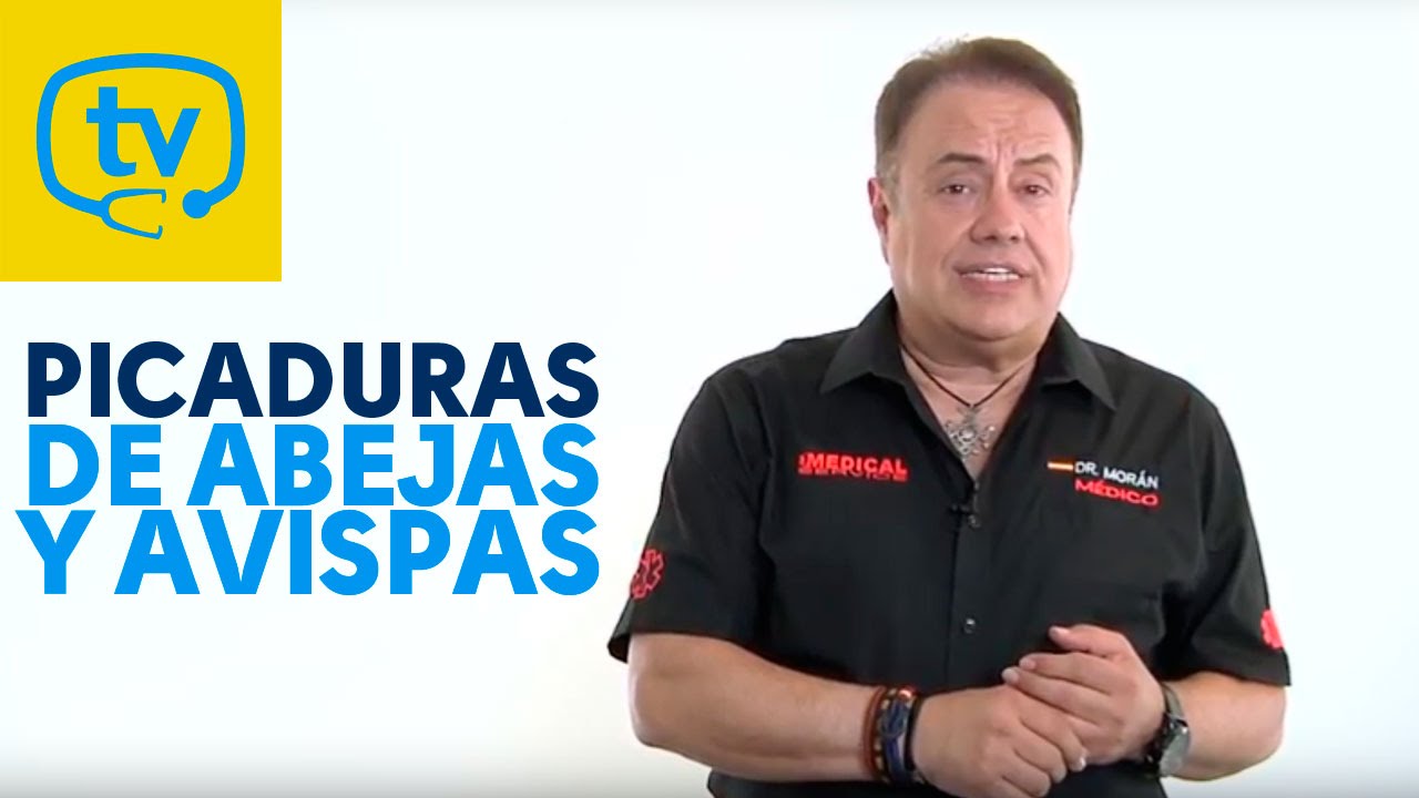 Cómo actuar ante picaduras de abejas y avispas