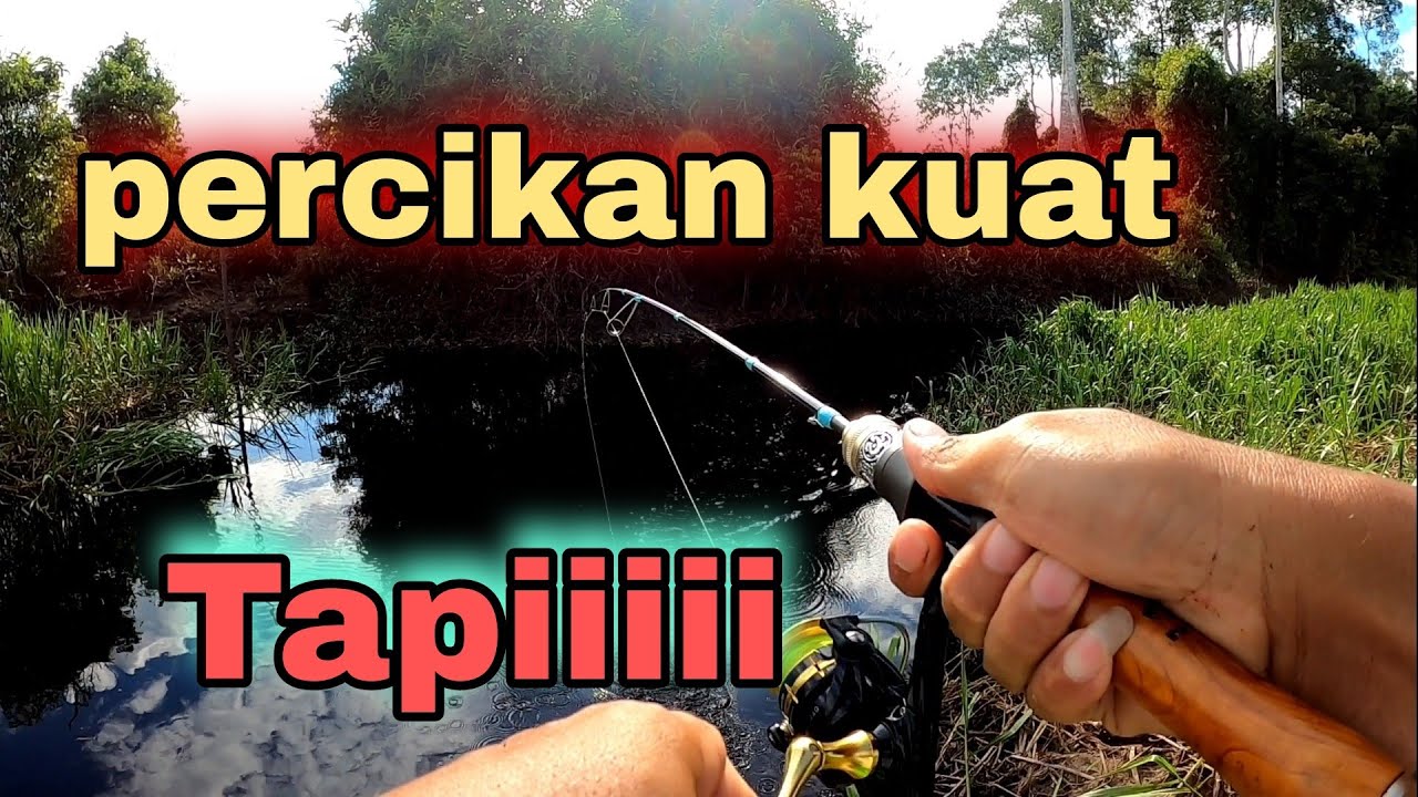#lemoren #moguro #ultralight                   HAMPIR KUMPAU