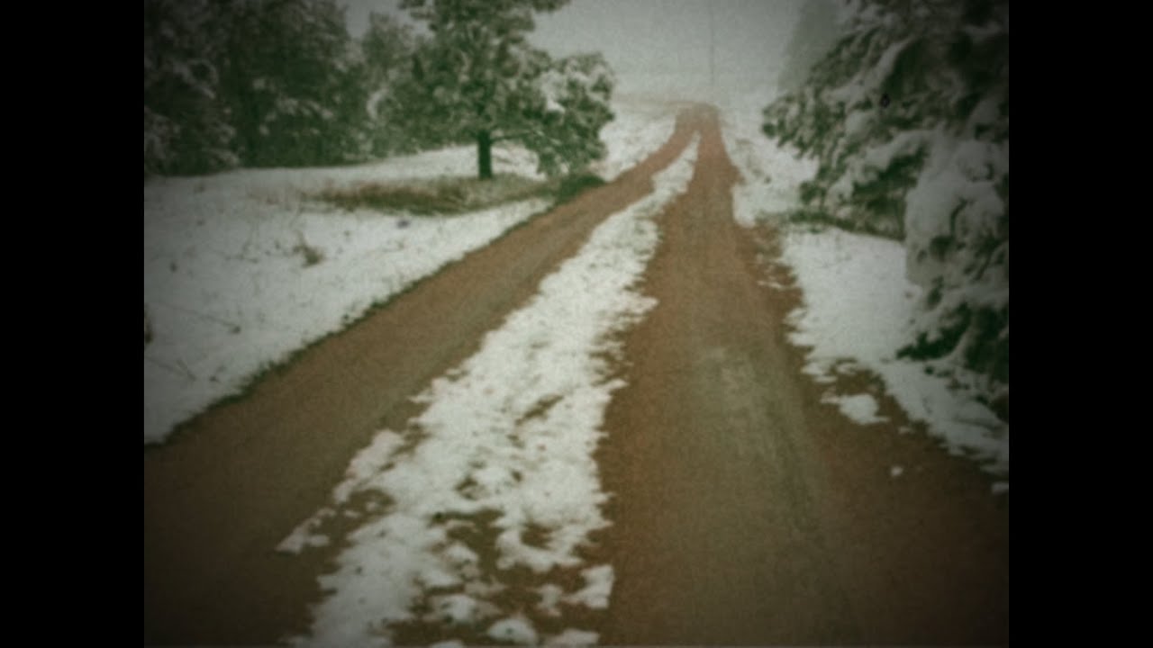 Future of Forestry / Eric Owyoung - Driving the Flats