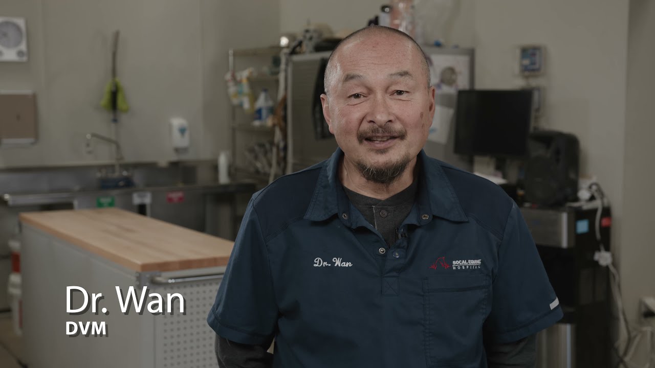 Dr. Wan Bio - Socal Equine Hospital