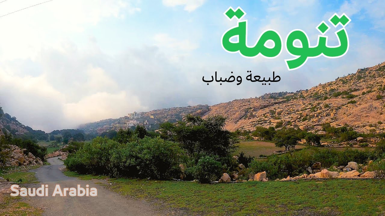 جمال القرية في تنومة