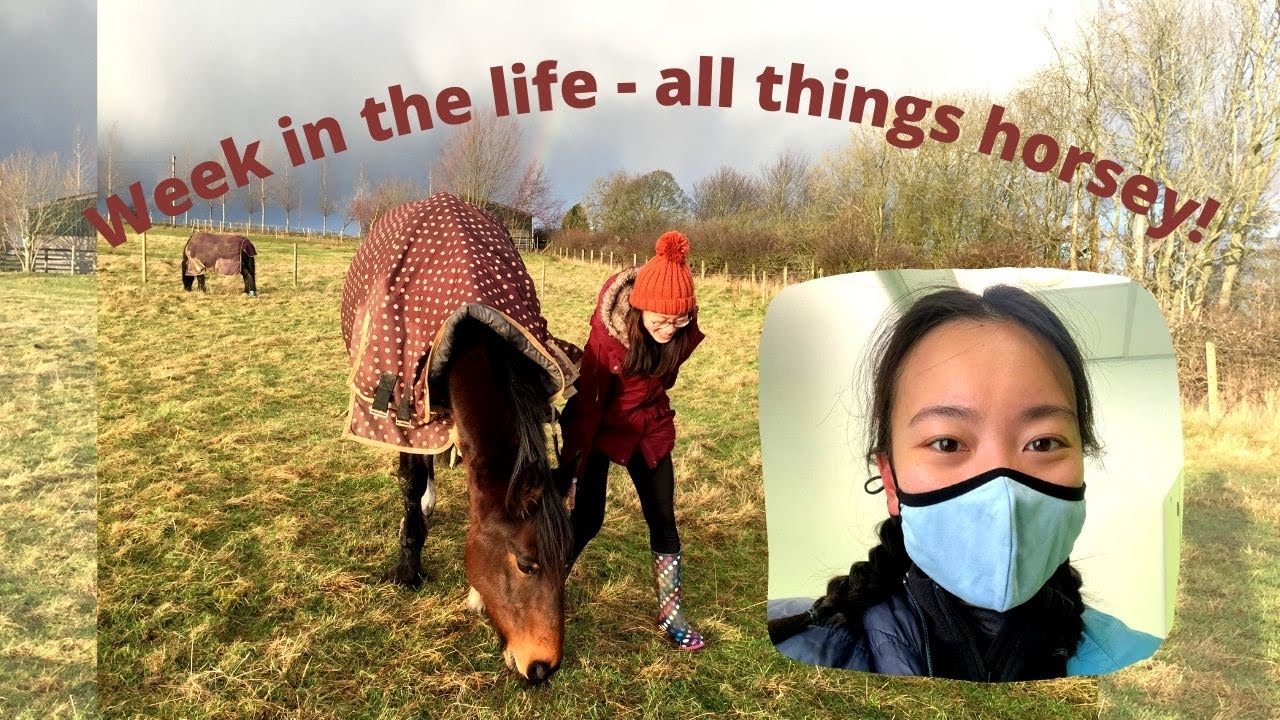 Equine rotation week | Cambridge University vet student vlog #8