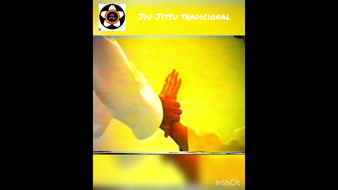 CINTURON AMARILLO, GOKYO JIU JITSU TRADICIONAL.
