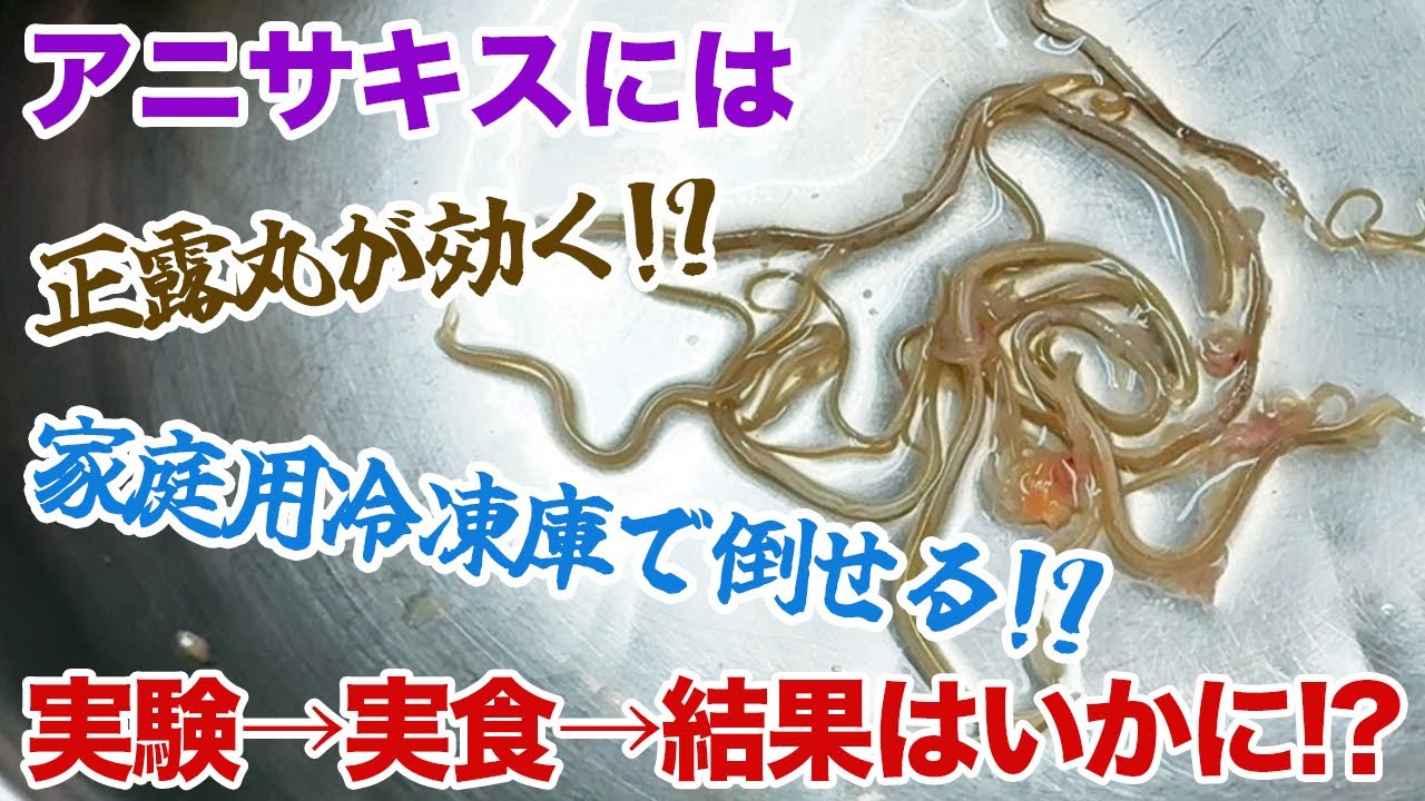アニサキスには正露丸が効く！？家庭用冷凍庫で倒せる？実験→実食→結果はいかに！？