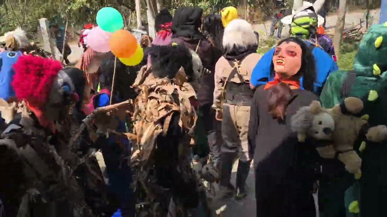 CARNAVAL TENEXACO ZONTECOMATLÁN VER.2026