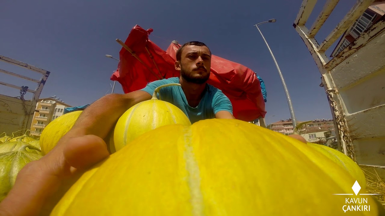 Çankırı Kavunu Tanıtım Filmi