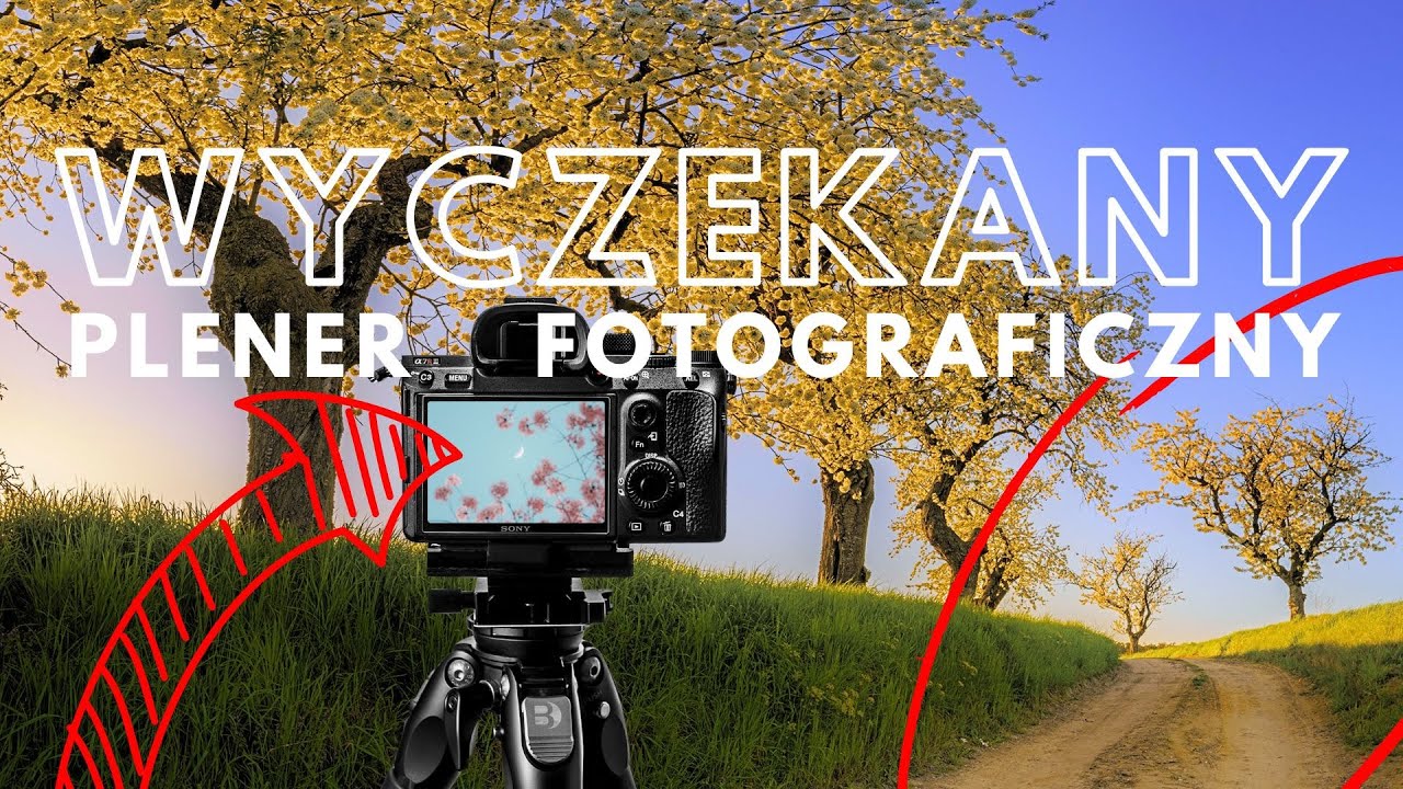 🌸 Aleja Czereśniowa w Pełnym Rozkwicie! FOTOGRAFICZNY Plener Krajobrazowy o Zachodzie Słońca! 📸