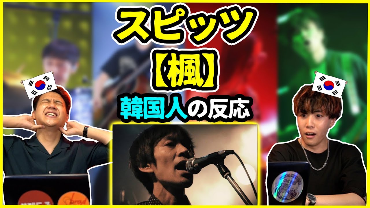 【日本の名曲】マジで韓国人みんな聞いてみてほしい…スピッツの【楓】を聞いた韓国人の反応は？【韓国人リアクション】