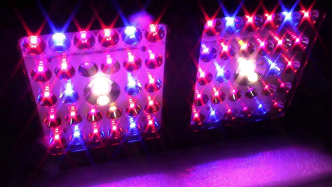 GROWSTAR 600W Full-Spectrum CREE LED Grow Light Review