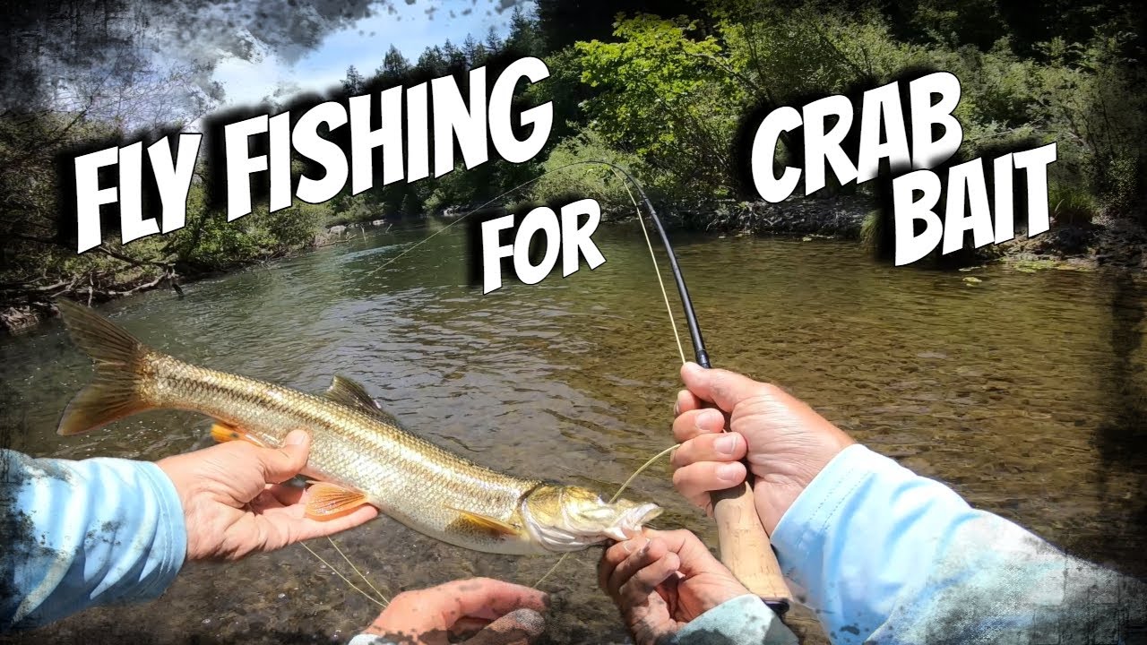 Fishing For Crab Bait - Pikeminnow