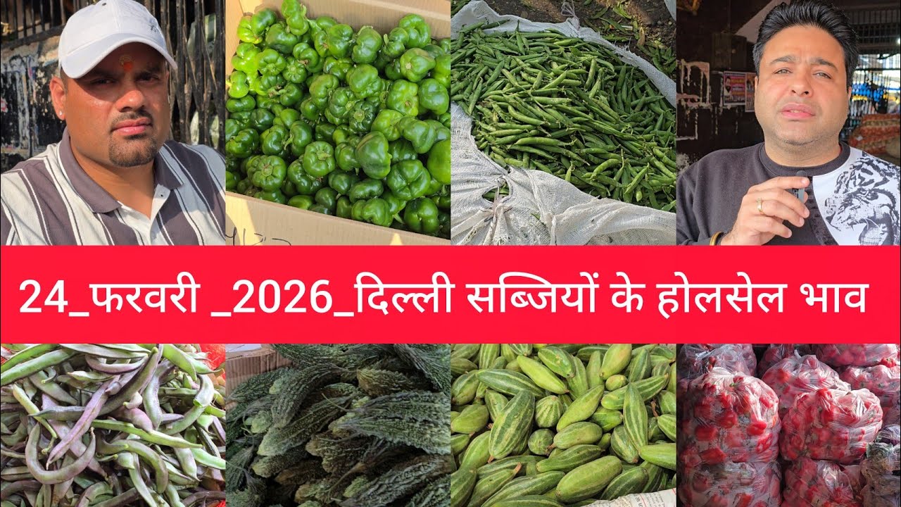 February 24, 2026 दिल्ली सब्जियों के भाव delhi vegetables market delhi fruit market #vegetables