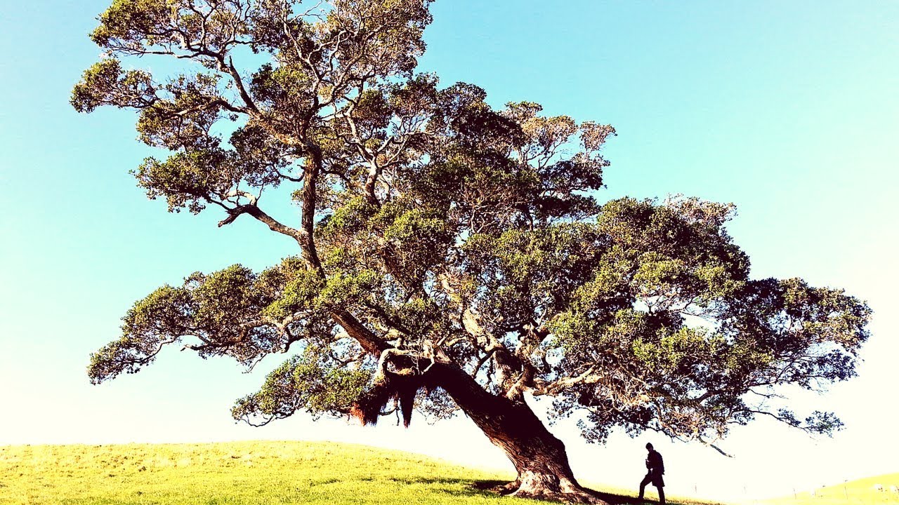 How To Develop Your Grounding In 5 Steps