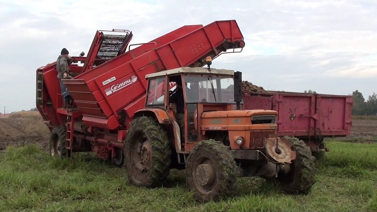 Landb. Bellengier - Houtkerke - Fiat / Someca 850 - Grimme HL 750