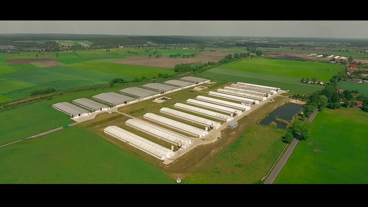 Ferma Indyk&oacute;w z silosami AGOS | Stęszew