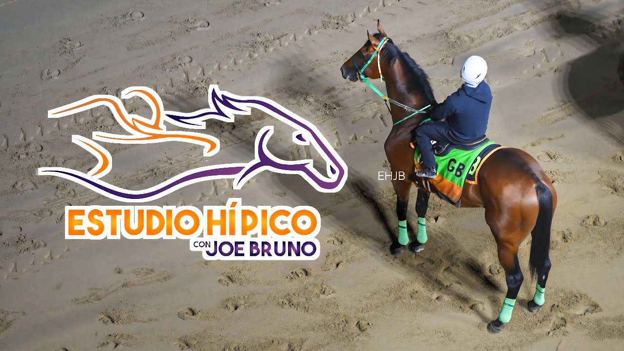 ESTUDIO HIPICO - Domingo 8 De Febrero De 2026