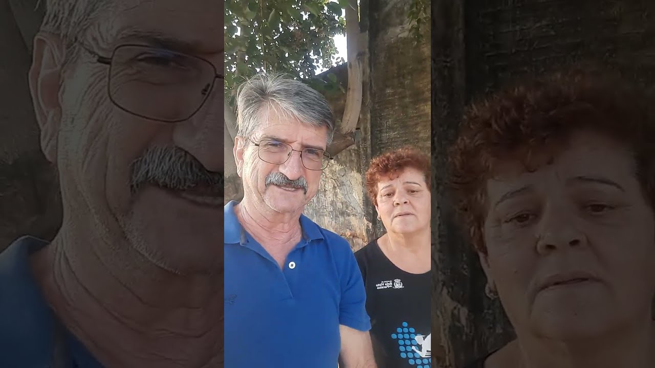 AMBIENTALISTA PLANTA ÁRVORES ROLÂNDIA 