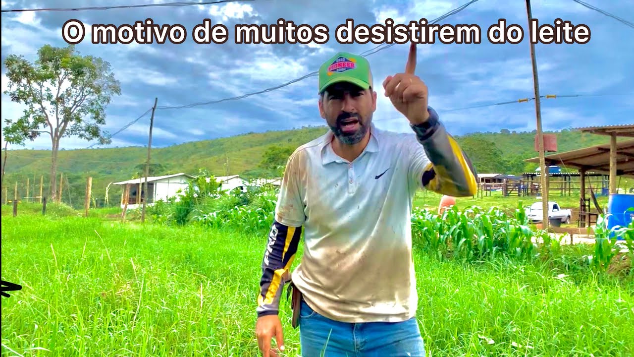FABRÍCIO E O SEU SÍTIO CHEIRO DE PROBLEMAS 🤬☠️🙅🏻‍♂️🦓🦓🦓🦓🦓