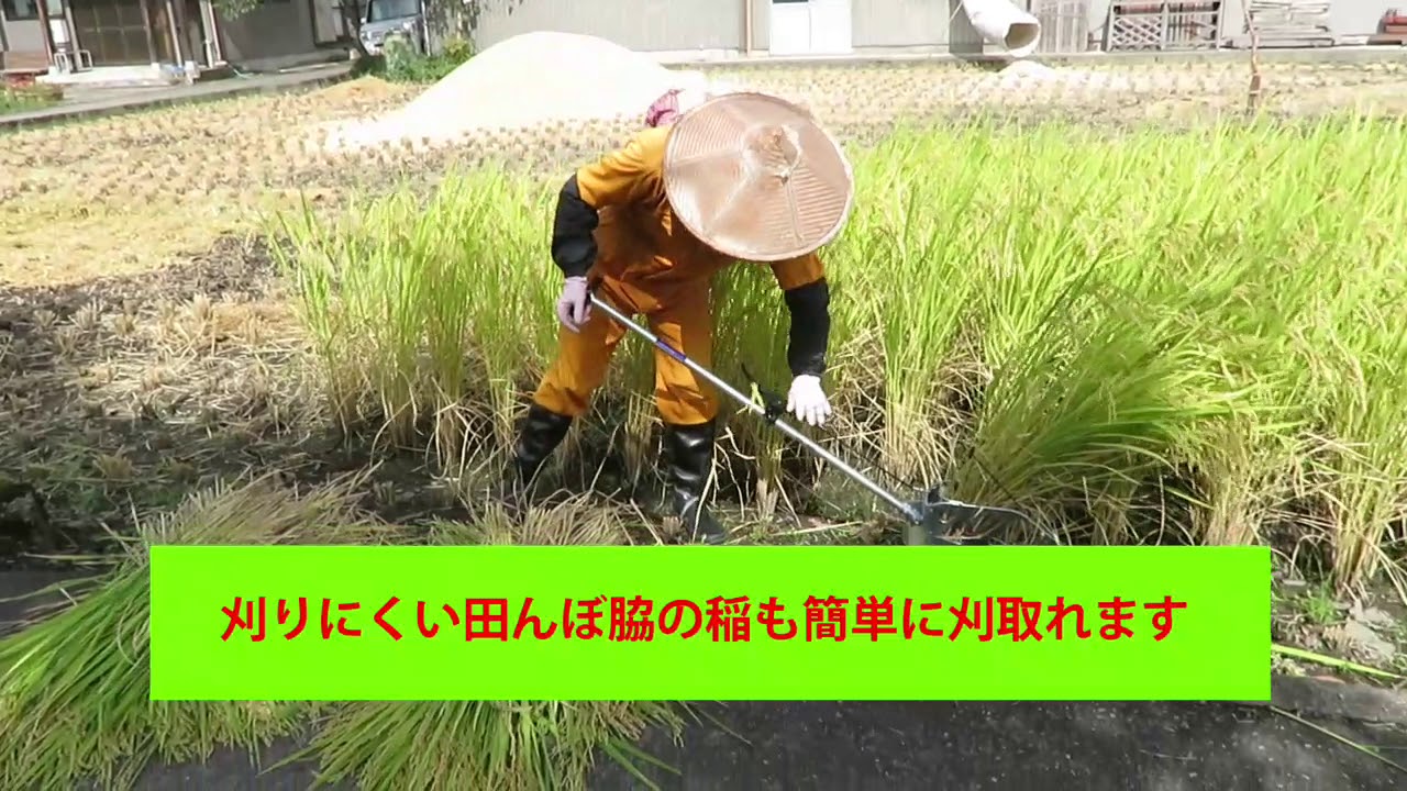 人力稲刈り機　かりとりくん　実演