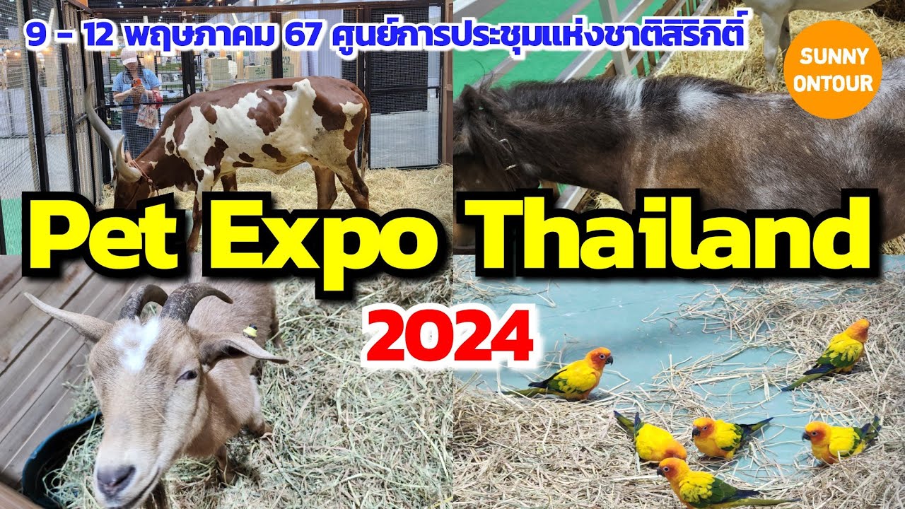 EP.146 | งานสัตว์​เลี้ยง​ ศูนย์​ประชุม​สิริกิติ์​ เริ่ม 9-12 พฤษภาคม​ 67 | Pet Expo​ Thailand​ 2024​