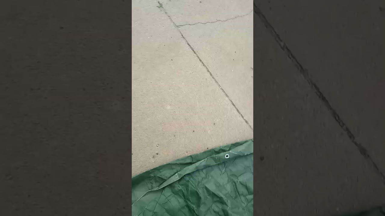 Brand new alternator not charging and making this noise?