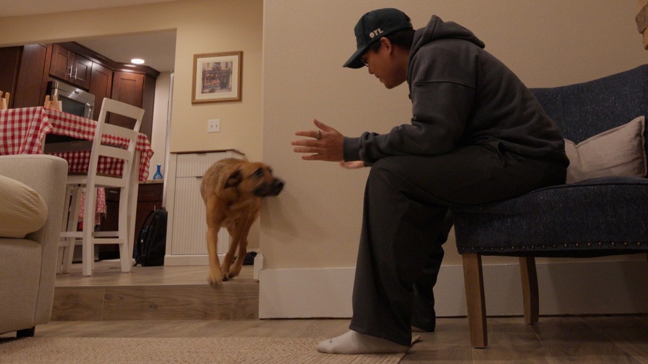 seeing my dog again after a week apart