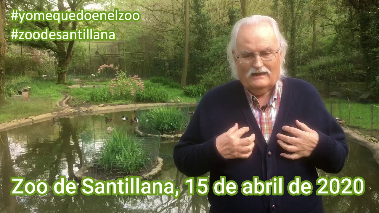 Viviendo en un Zoo