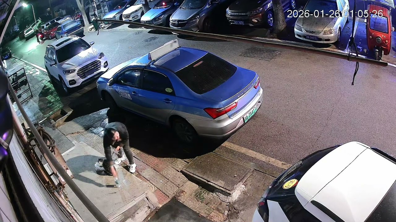 CCTV Footage｜She Left the Kitten Behind监控记录｜她把猫留下，然后离开