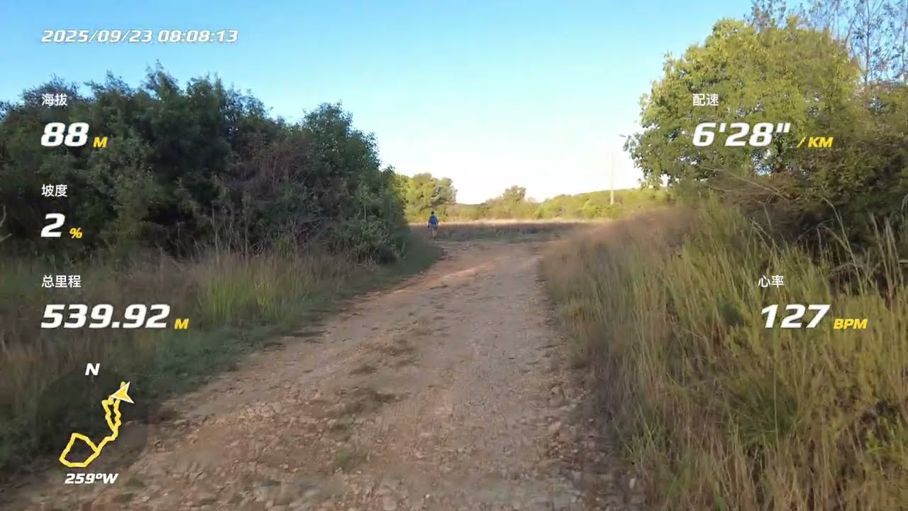 Morning run between wineyards / 2025秋分 晨跑葡萄园