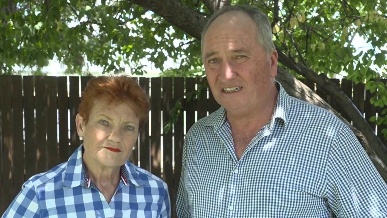 Hanson claims she could be One Nation’s Leader for another two terms